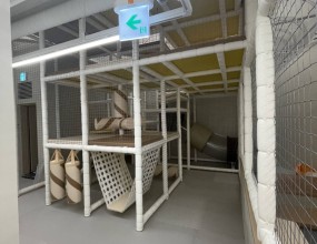 신사동 키즈카페 완비, 소방공사