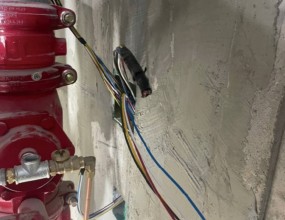 소방밸브 배관 및 입선